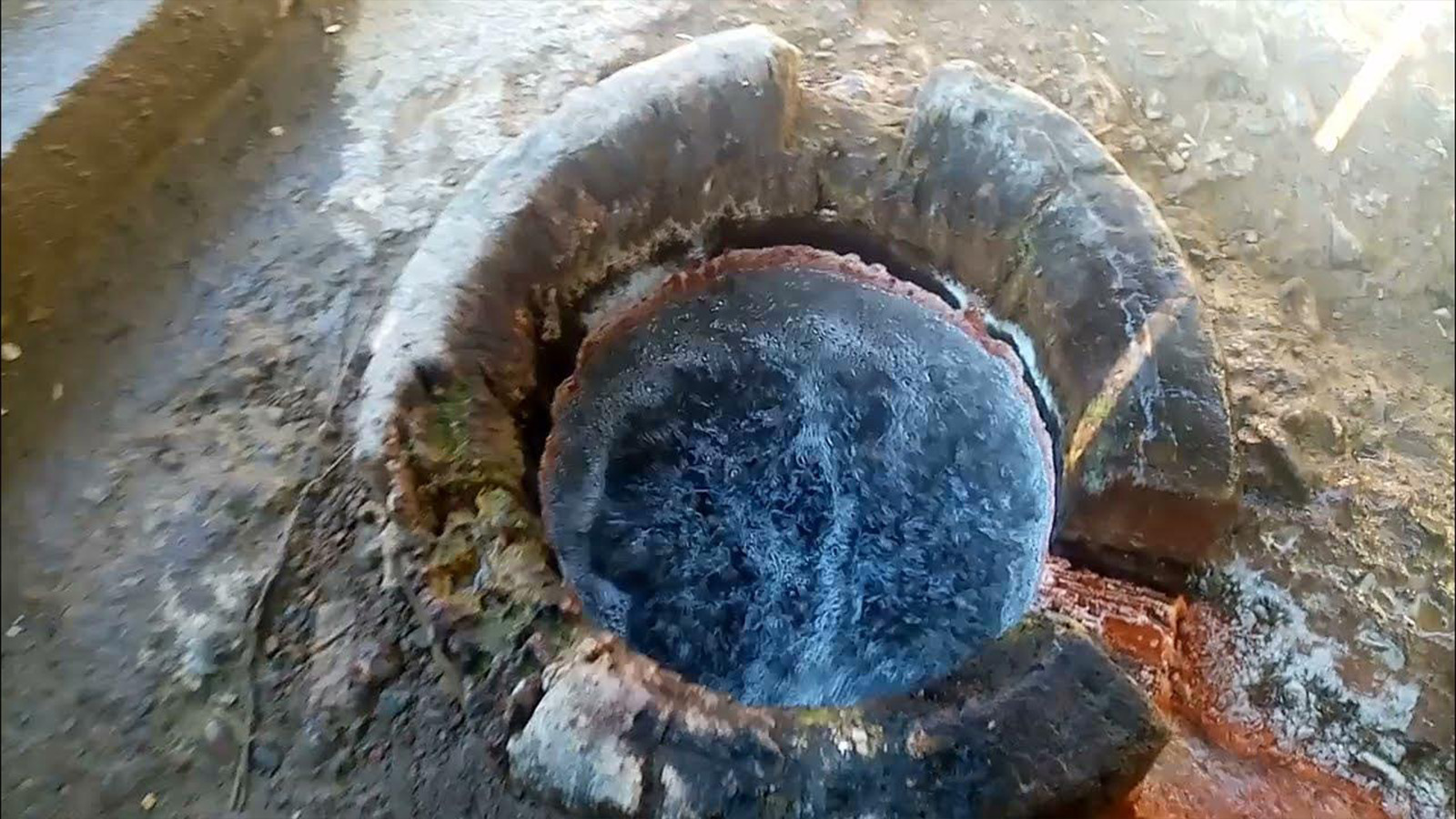 Borcut Spring